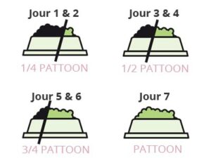 Schéma transition croquettes