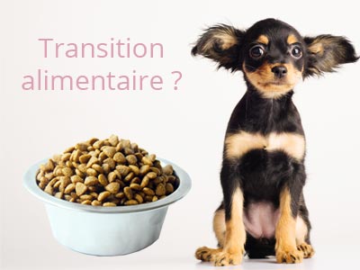 Comment faire la transition croquettes de mon chien ?